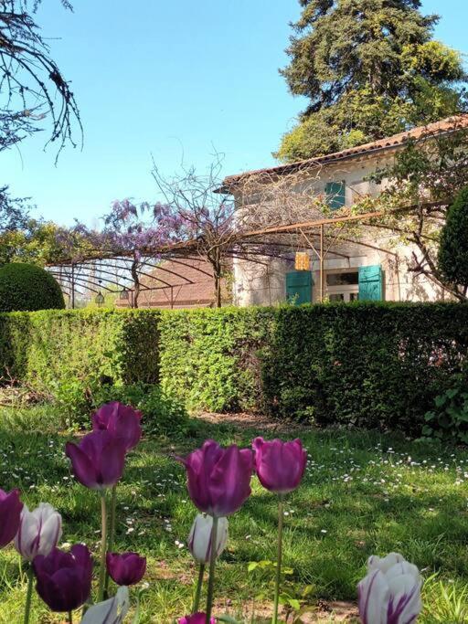 Apartament Charmant Studio Avec Jardin A La Campagne Sur Le Chemin De Saint Jacques De Compostelle Lauzerte Zewnętrze zdjęcie